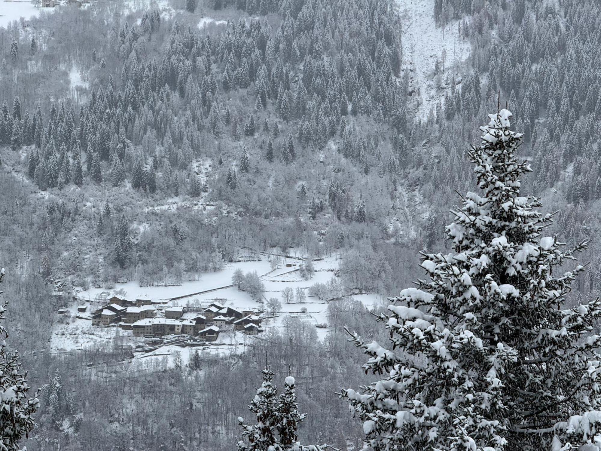 דירות Panorama Marilleva 1400 - Val Di Sole מראה חיצוני תמונה